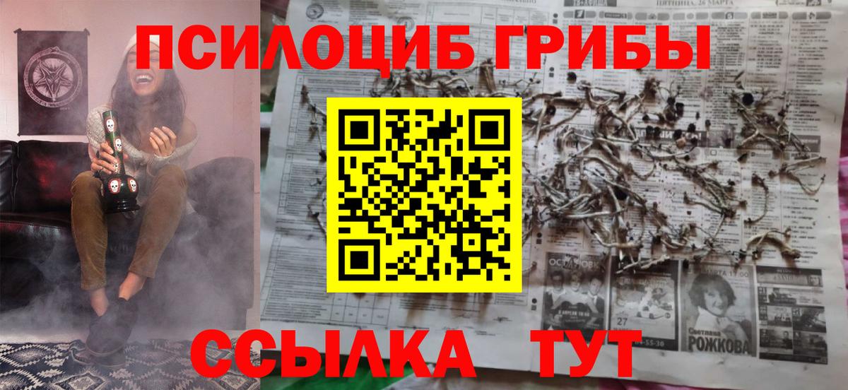 Галлюциногенные грибы Cubensis Астрахань